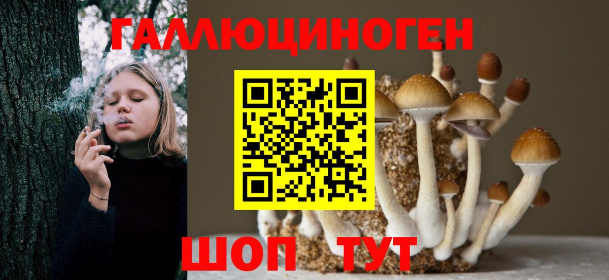 Галлюциногенные грибы Magic Shrooms  Псилоцибиновые грибы мицелий  Вход с VPN  Красногорск 